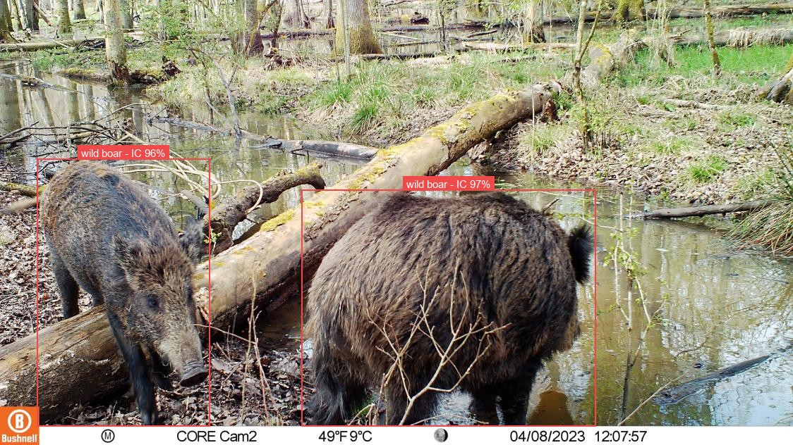 Annotation de CamerID