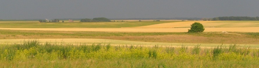 champeigne tourangelle